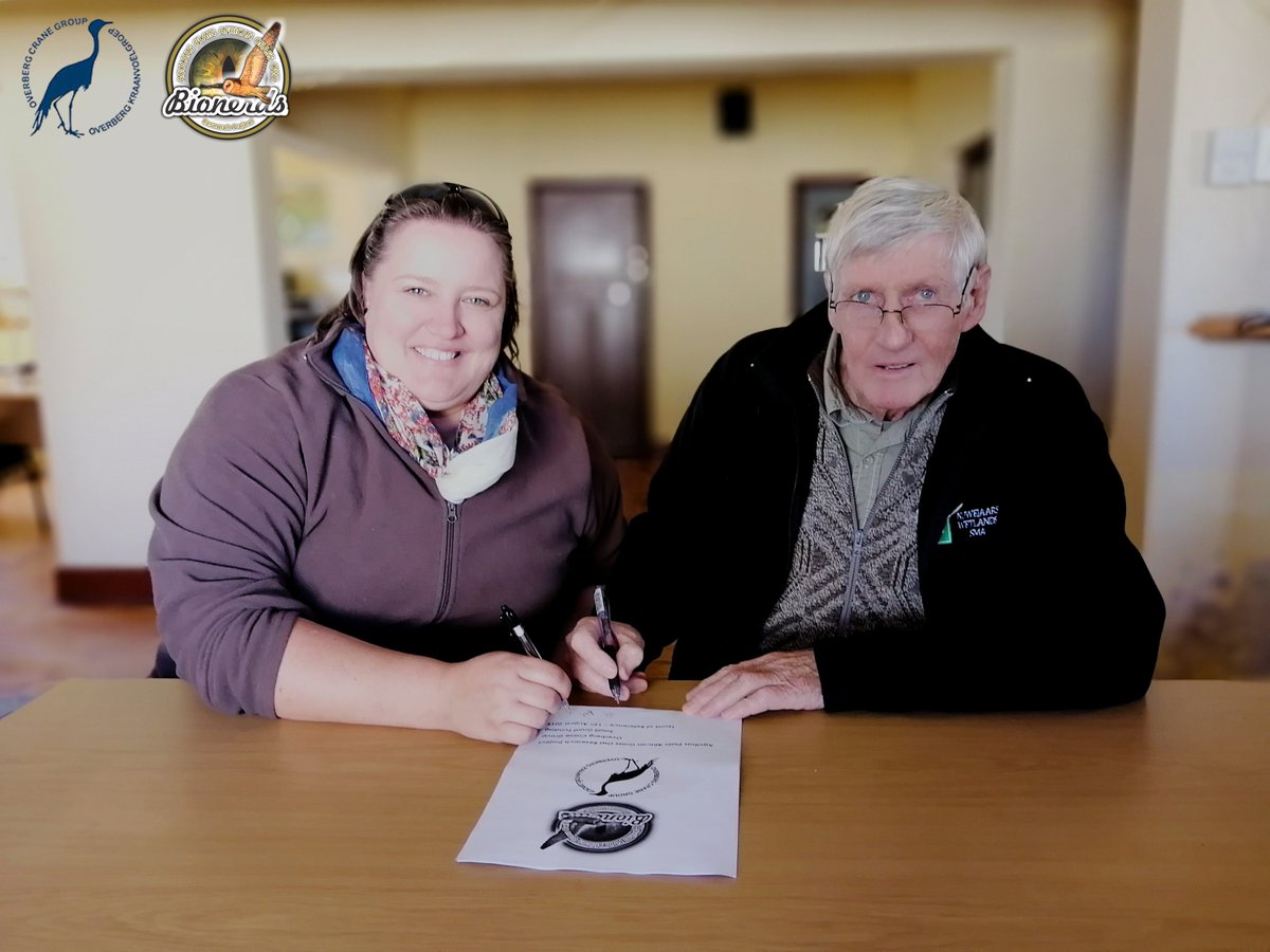 overbergcrane's tweet image. There’s a beautiful owl species that occurs in the #Overberg, &amp;amp;  so few people know about it. It’s the African Grass Owl (Tyto capensis) &amp;amp; the OCG has signed to support #Bionerds to find out more about this secretive bird in the Agulhas Plain.  bit.ly/2kumRIo