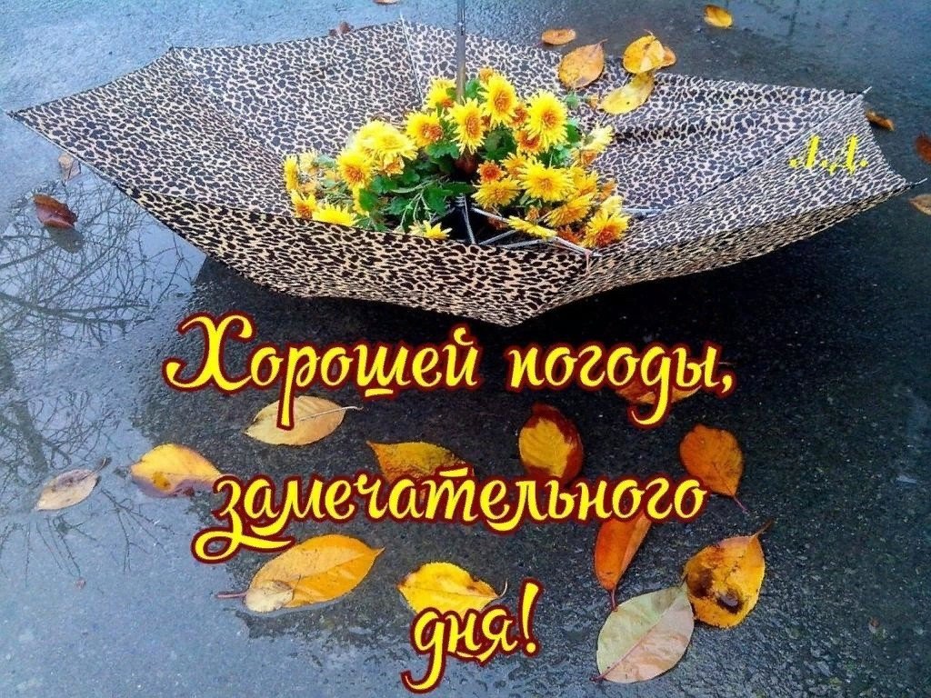 Летием картинка, картинки пятница осень