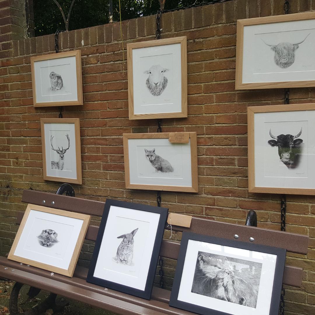 Happy National Doodle Day! Why not spend some time with a sketch pad and pencil in the Valley Gardens this weekend? There is so much to see and draw. Take inspiration from fantastic artist, Gemma Haywood who recently exhibited her work at Art in the Gardens.