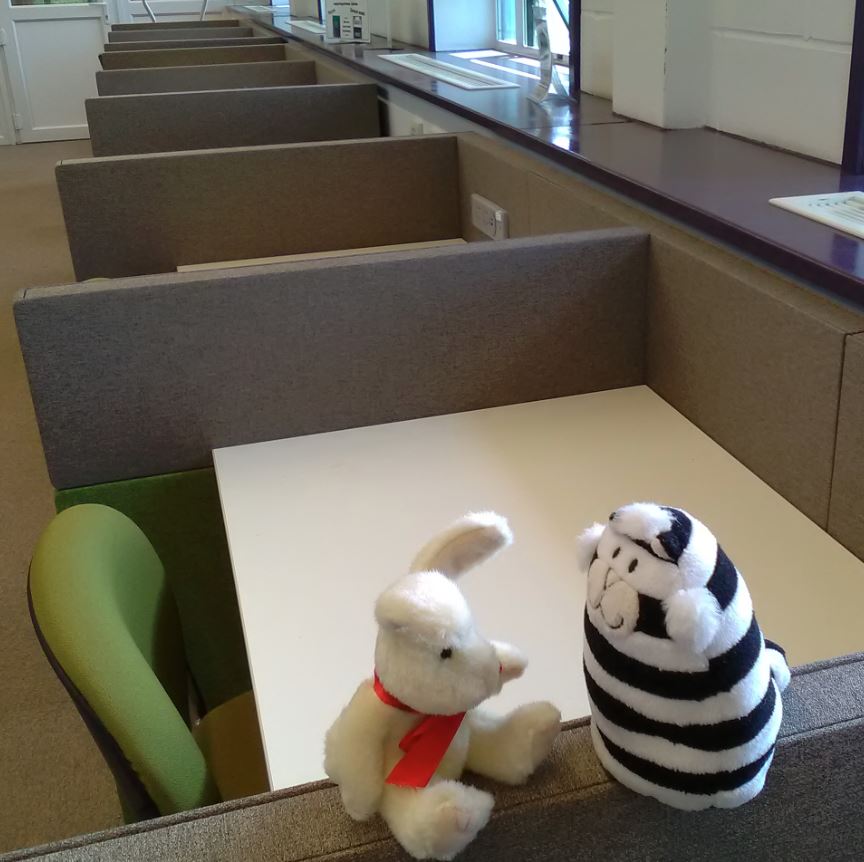 GEHSWFTLibrary's tweet photo. #Billythelibrarycat is showing Harvey the carrells in the Library, a good spot for studying and they even have electric plugs!  #teameliot #library https://t.co/pOLr5gYK6l
