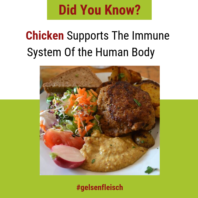 GelsenF's tweet photo. Did you know? Chicken Supports the Immune System of the human body - 你知道嗎？雞肉支持人體免疫系統 - https://t.co/6KE3J9B9BU

#Chicken #Protein #QualityMeat #premiumqualitymeat #pork #beef #FrozenChickenFeet #FrozenChickenPaws #ChickenBreast #Chinaporksuppliers #ChickenHeart https://t.co/MM6dua1HOE