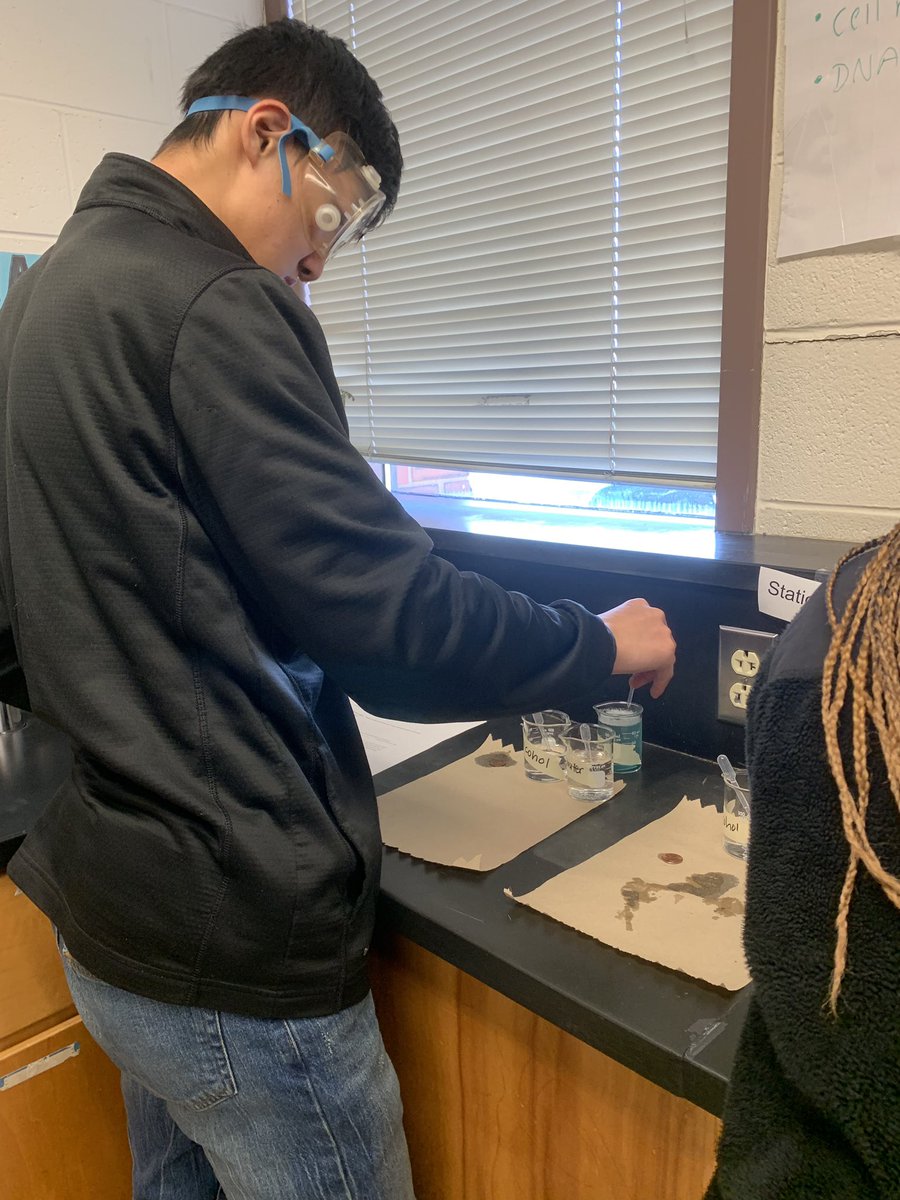 science_anderso's tweet photo. #Biology students investigate the #UniquePropertiesOfWater as we start our #Biochemistry unit. @CarverAcad #CCPS_Science https://t.co/8Ntn9eflZR
