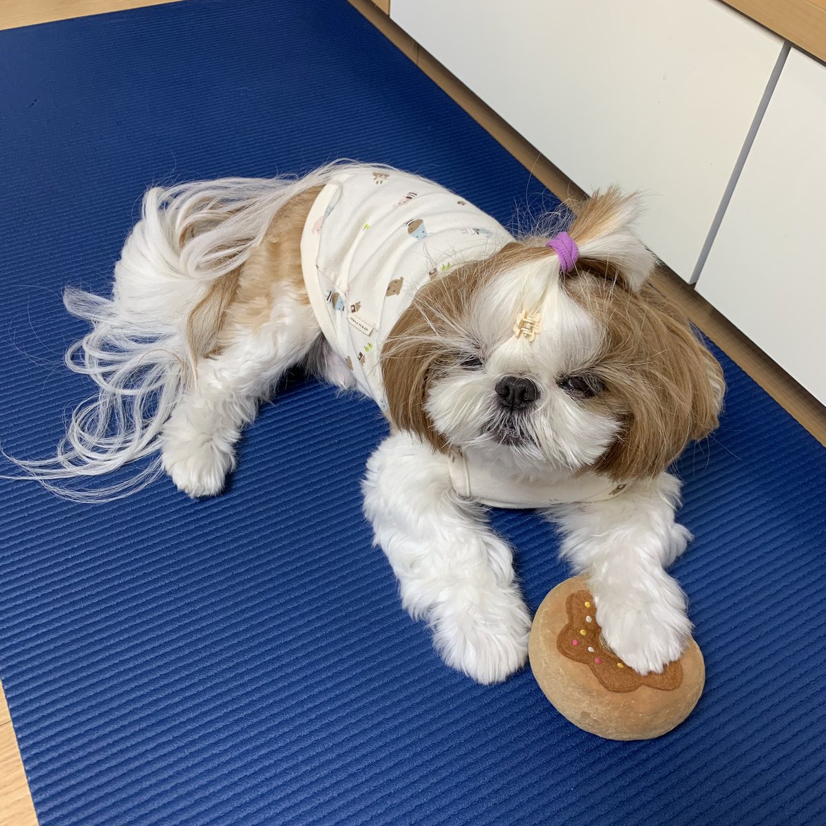 🐶내 햄버거야
🐶내 햄버..거라구..
🐶내.. 햄..버...ㄱ