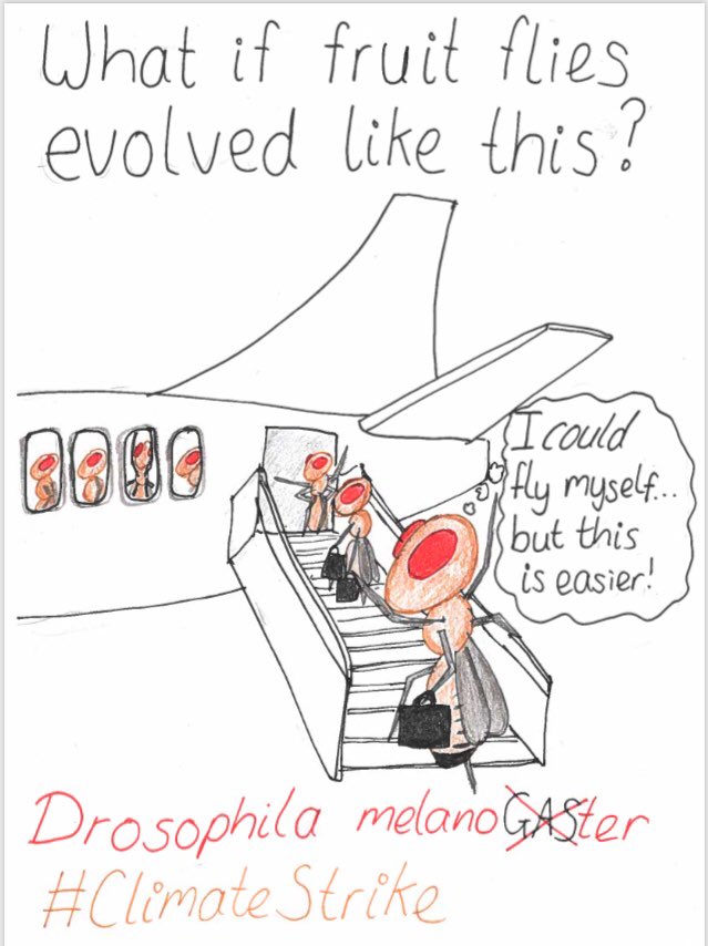 fruit flies like a banana 🍌 tweet media