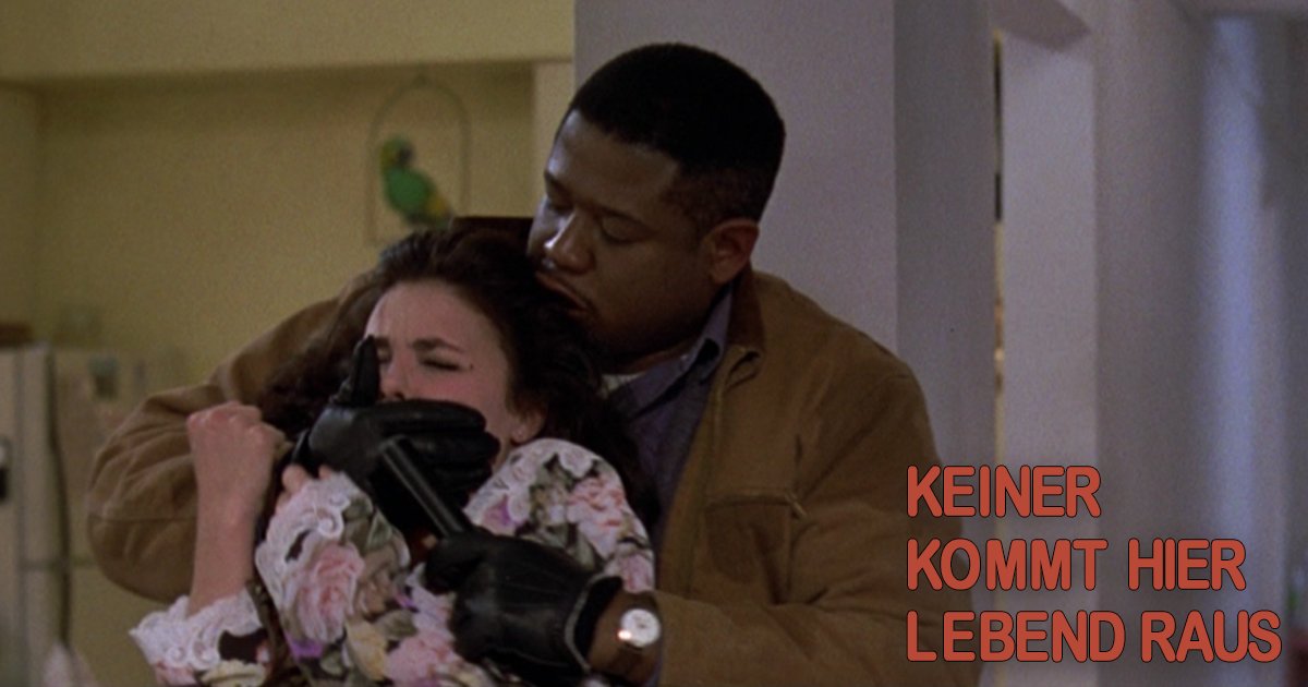 RecordsNsm's tweet photo. Liebe Filmfreunde,

nächsten Freitag ist es soweit: Unsere Titel für den September sind erhältlich!
Welche der Titel landen in eurer Sammlung?

Trailer zu aktuellen und älteren Titeln aus unserem Prpgramm findet ihr hier:

https://t.co/4vRAgebwvc https://t.co/R1LabE0ZMz