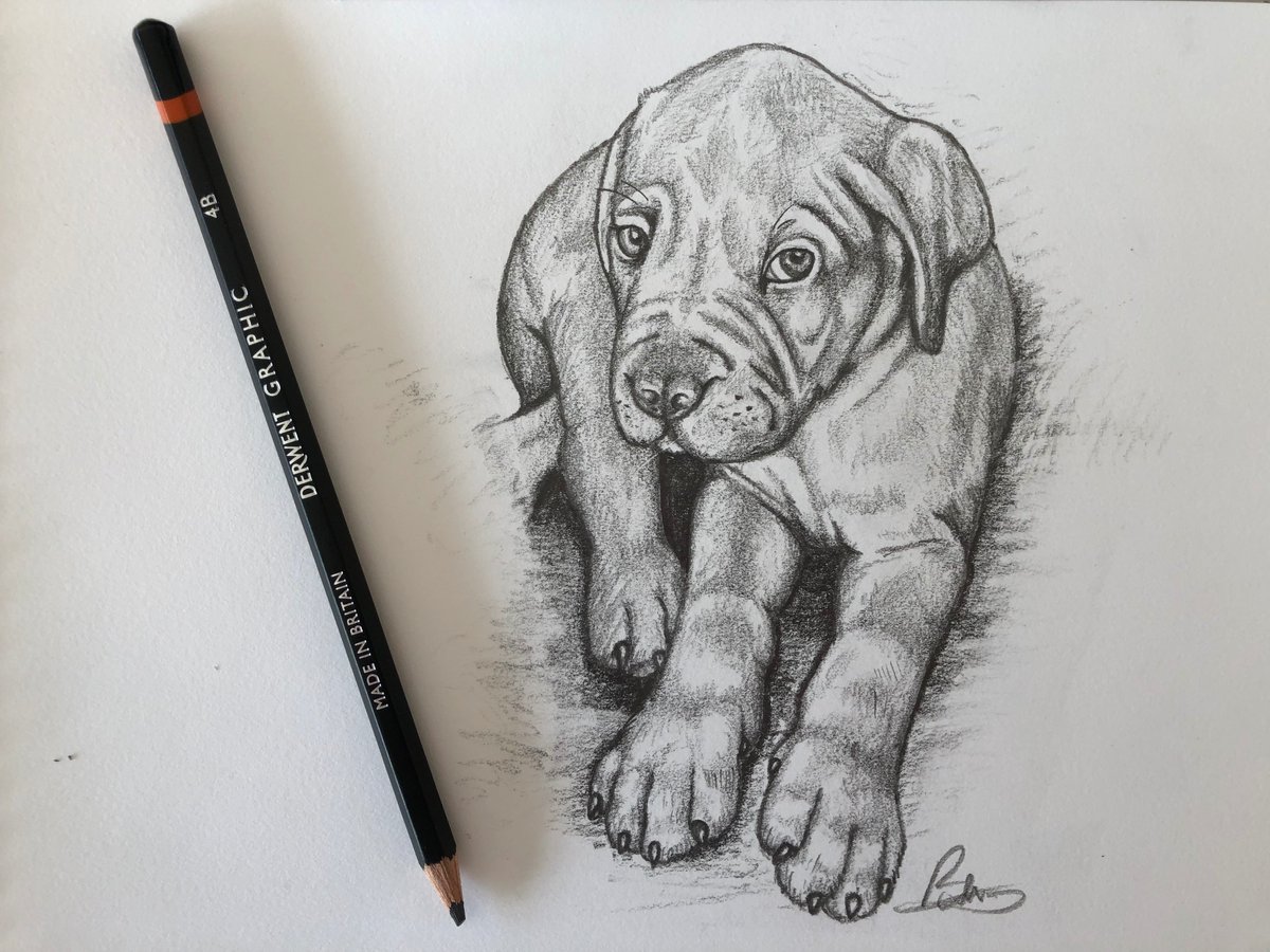 It's been the better part of 20 years since I last picked up any sort of physical, analogue art-creating device. In the last couple of days, I have rediscovered just how therapeutic it can be to just draw something for the sake of it!