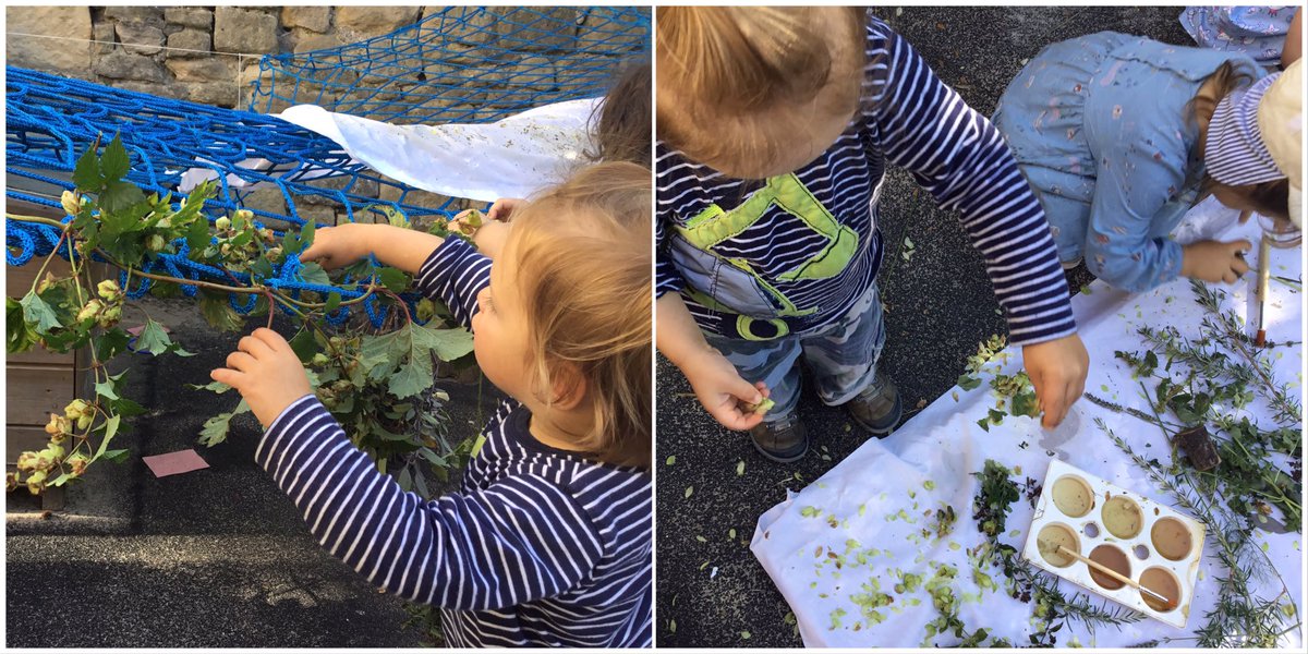 snap_forest's tweet photo. After an early morning forage the hop hedgerow and herbarium is set up for toddlers @snapgrosvenor to explore. A full sensory experience and an opportunity to practise some picking of their own. #snapforest #outdoorlearning https://t.co/5L6R26VEnS