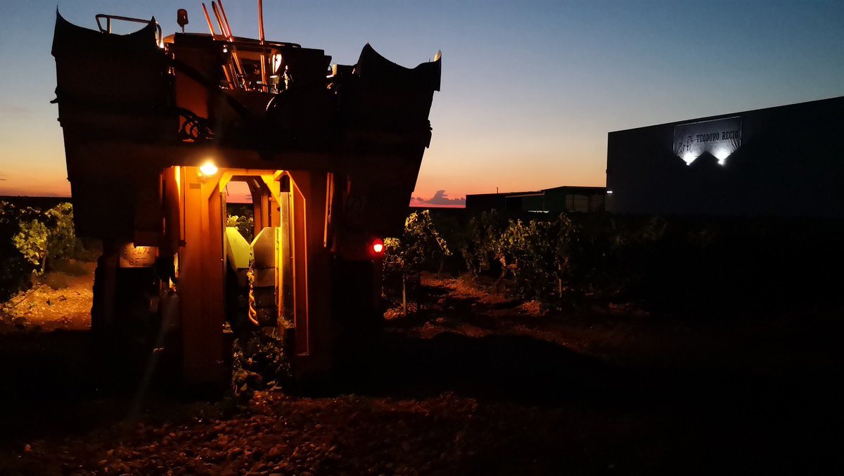 Cuando comienza la noche... #vendimia2019 #verdejo #dorueda