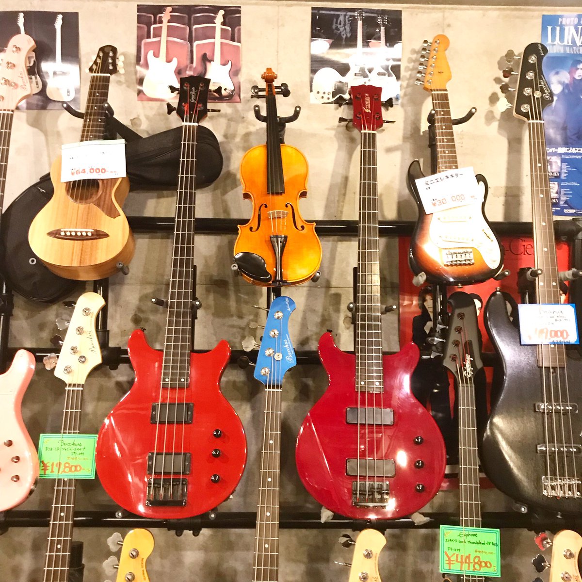 限定モデルや edwards luna sea j ベース www.polesantesaintjean.fr