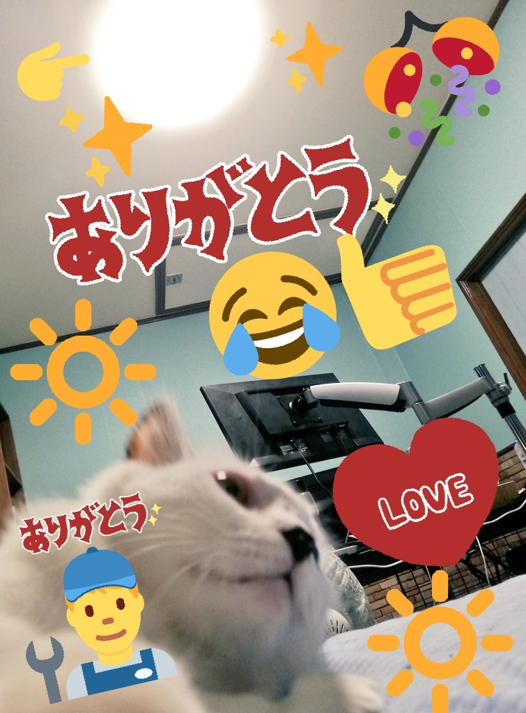 HAM_Gsan's tweet photo. ご報告 https://t.co/VKFV5DP5RG