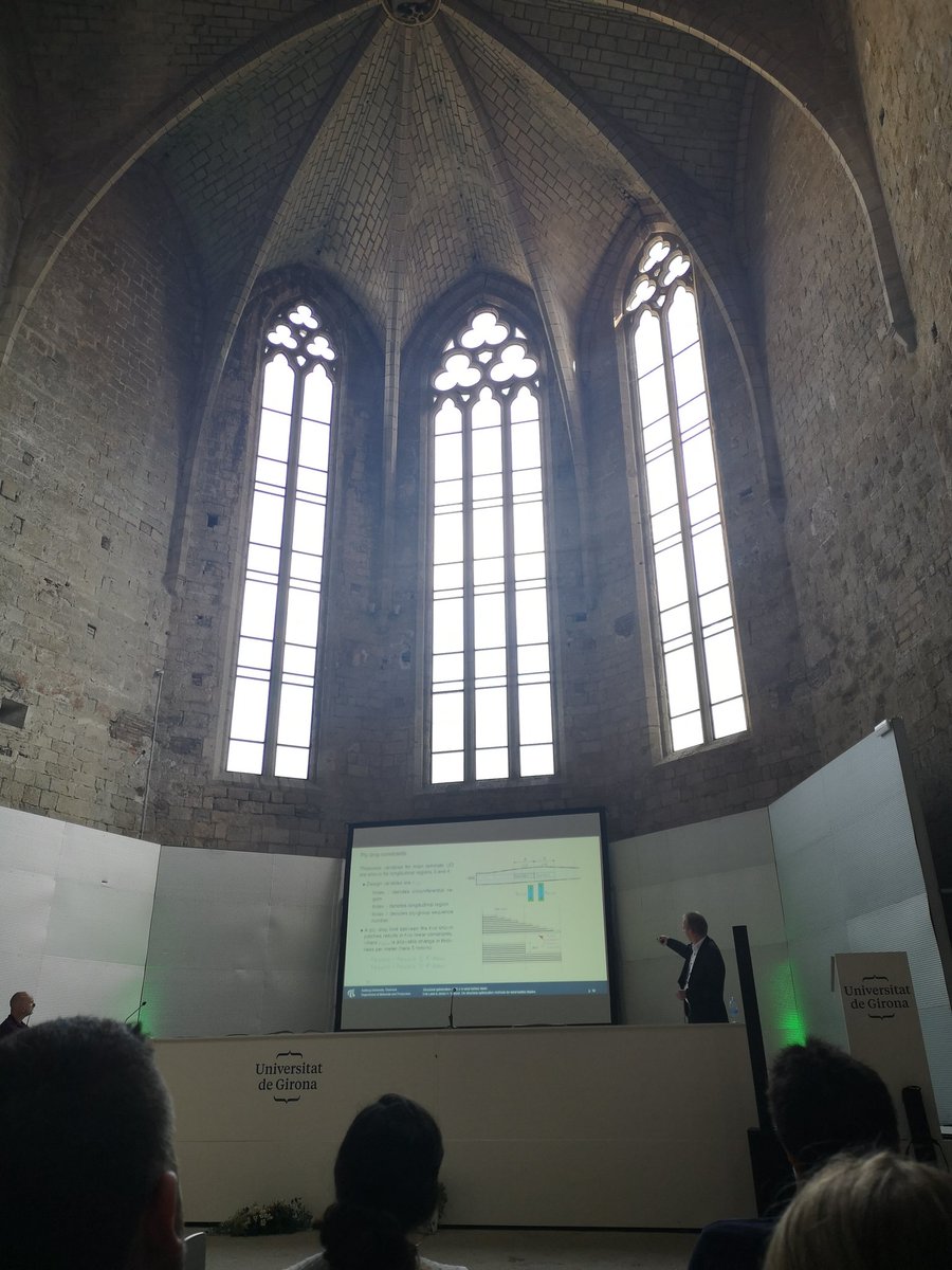 dani_trias's tweet photo. Learning a lot from Erik Lund at @composites2019 hosted by @amade_udg at @univgirona https://t.co/u71bzmoPOa