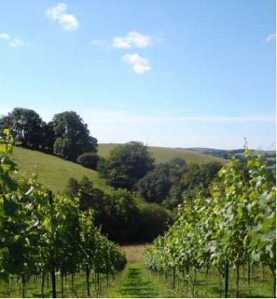 DevonFarms's tweet image. DCC is looking for freelancers, sole traders and businesses with fewer than 10 employees, to work with them on a research trial designed to boost Devon's economy. 
soc.devon.cc/fBVP4  
Email: engagingruralmicros@devon.gov.uk before the end of Dec 2019.
#Farming #Devon #DCC