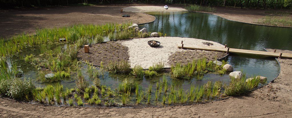 VOH_Appeltern's tweet photo. De aanleg van deze natuurlijke tuin met zwemvijver in Vught vordert gestaag. De zwemvijver is inmiddels klaar. Het moeras- of helofytenfilter is ingeplant. De zandstrandjes en de vlonder van eikenhout nodigen uit om aan de waterkant te relaxen. Een zeer verleidelijk vooruitzicht! https://t.co/u7HxabaXNv