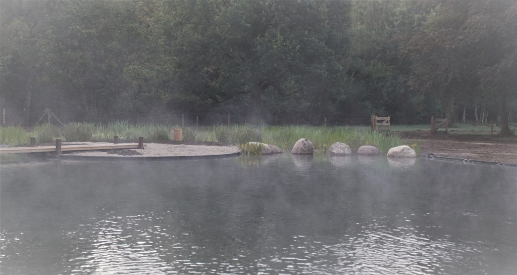 VOH_Appeltern's tweet photo. De aanleg van deze natuurlijke tuin met zwemvijver in Vught vordert gestaag. De zwemvijver is inmiddels klaar. Het moeras- of helofytenfilter is ingeplant. De zandstrandjes en de vlonder van eikenhout nodigen uit om aan de waterkant te relaxen. Een zeer verleidelijk vooruitzicht! https://t.co/u7HxabaXNv