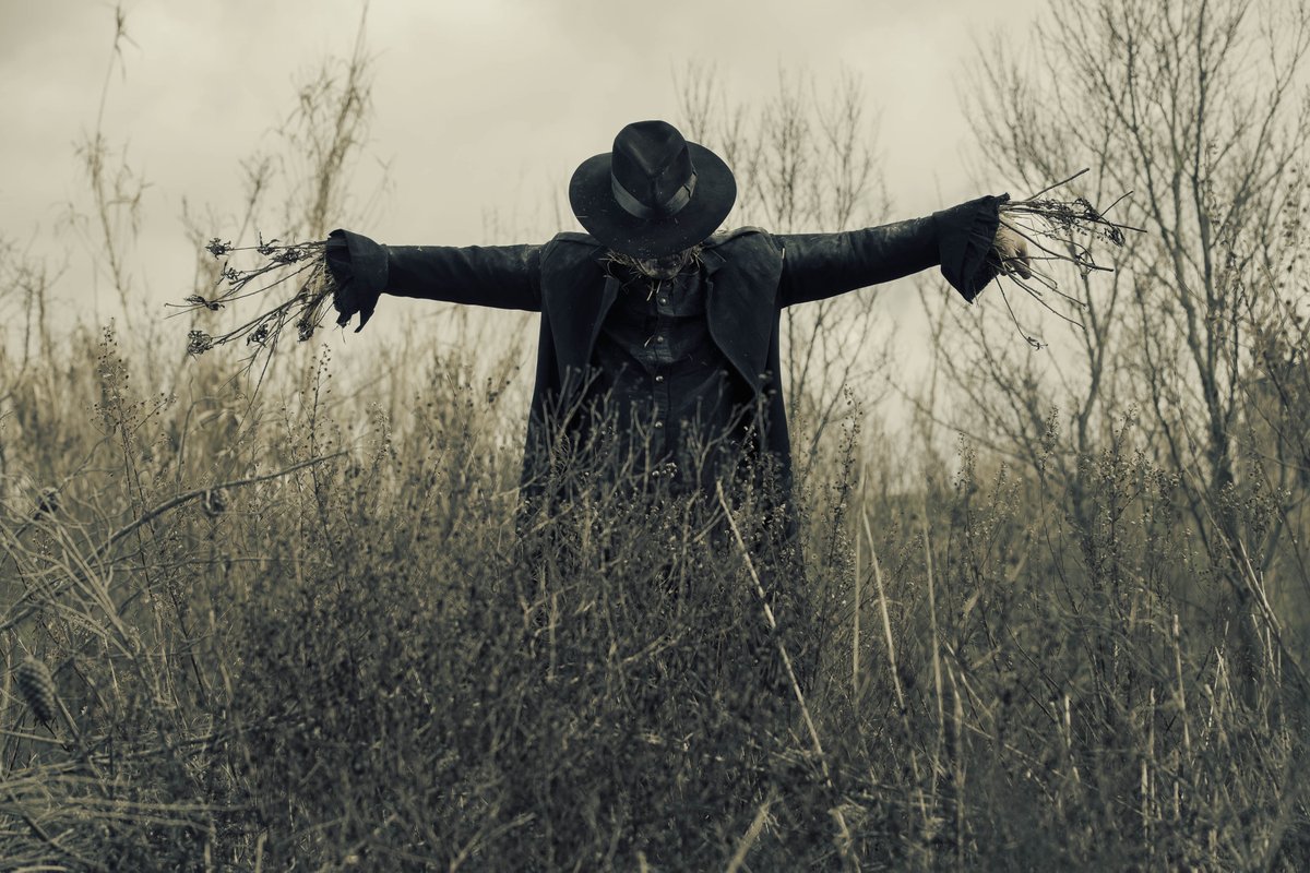 SpookyScarlet's tweet photo. The Scarecrow will escape from the digital realm. Deluxe Digipack Edition details coming soon. #TheScarecrow #Digipack #HorrorPunk #DeathRock #NewRelease #ScarletAndTheSpookySpiders https://t.co/iEOdun9F1S
