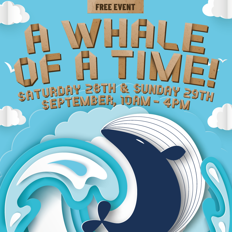 PeterboroughOne's tweet photo. Come to PE1 on 28/29 Sept to meet our GIANT whale! 🐳 Plus embark on an aquatic adventure with sealife tackling an ocean of rubbish. @SustainablePECT will also be promoting #ProjectRefill. RT!
https://t.co/rhLHve96wS
#RecycleWeek @recycle_now @Refill @RefillPboro @peterboroughtel https://t.co/Z0fo8BAst0