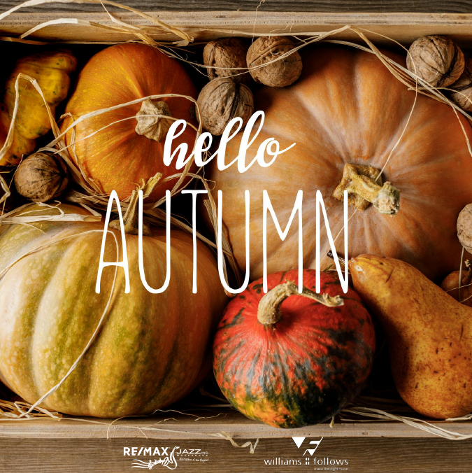 durhamrecentre's tweet photo. Crisp Air, Pretty Leaves, Sweaters & Boots, Football, Pumpkins and Bonfires... Fall is here! 🍂🎃🍁🧡
#autumn #firstdayofautumn #fall #firstdayoffall #fallair #leaves #pumpkin #sweaterweather #remax #remaxjazz #williamsandfollows https://t.co/JWvLYWfmfD