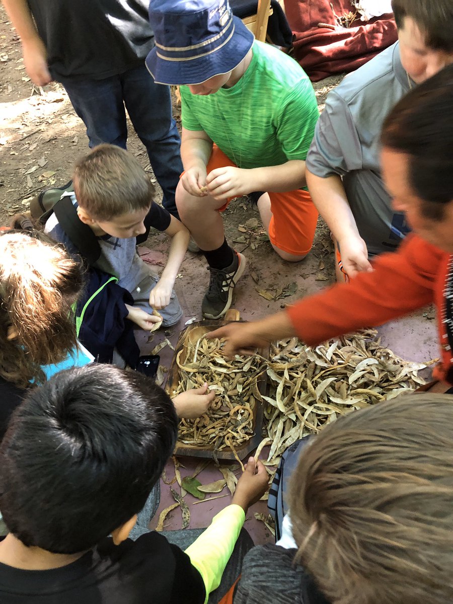 bowman_mandy101's tweet photo. @LewisCassElem 4th graders step back in time to shell beans! Thank you Koh Koh Mah for hands on learning! #alwaysbeaking https://t.co/FiRoMXFzQs