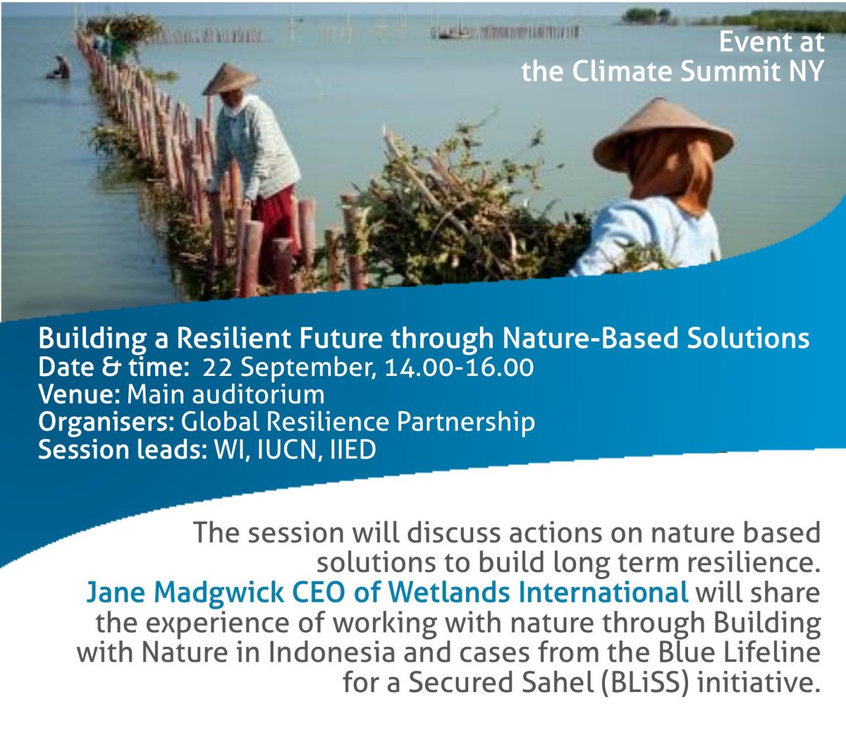 WetlandsInt's tweet photo. Healthy wetlands are the best #naturebasedsolutions for #ClimateAction and building #resilience. We have the proof and we will present them by sharing our works with nature from Asia and Africa at #NYClimateSummit. https://t.co/HlSoQlgn8w