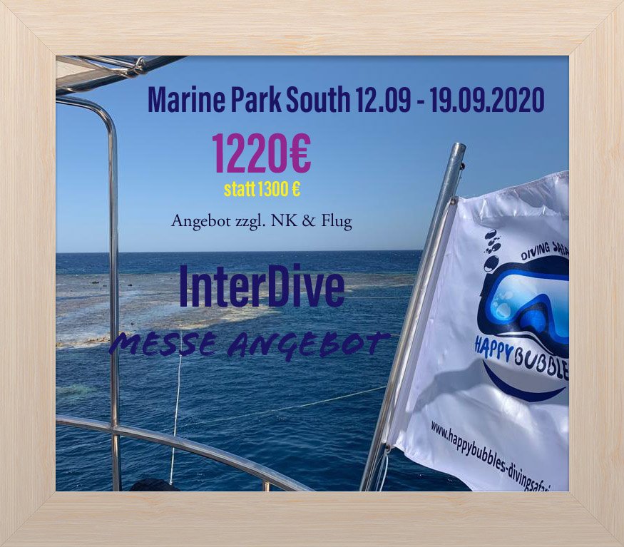 HappyBubblesDS's tweet photo. #interdive #messe #angebot #tauchen #Reisen https://t.co/rSzQ5uSI7H