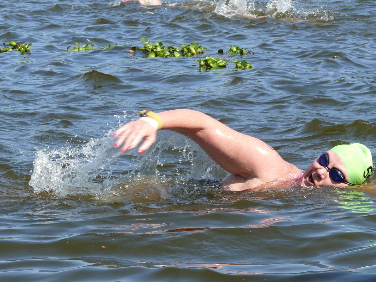 Midmar_Mile tweet media