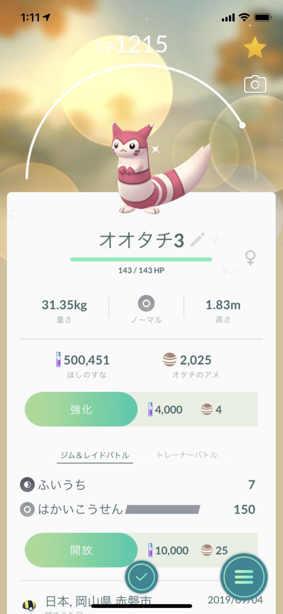 オオタチ色違い オオタチ色違い