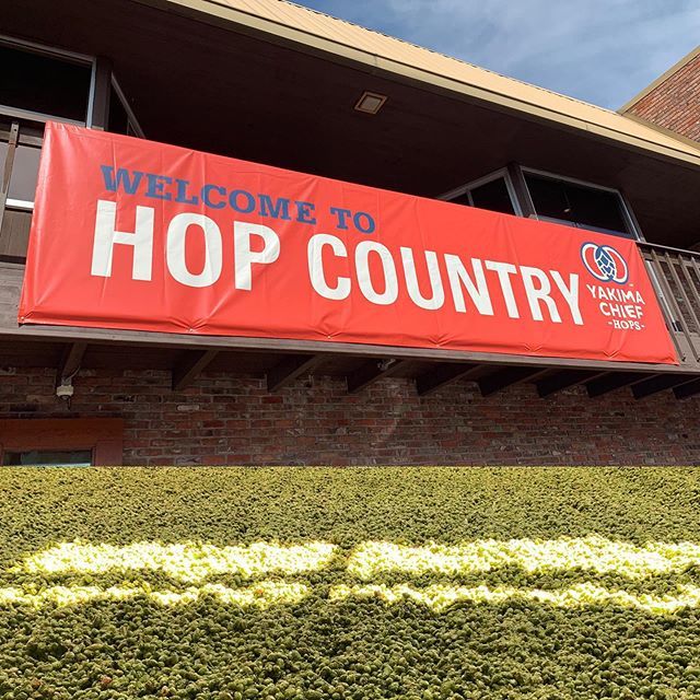 EpicBeer's tweet photo. Yakima is definitely #hopcountry #hopharvest2019 @yakimachief https://t.co/NeALmIhBhe https://t.co/jMtSuPofey