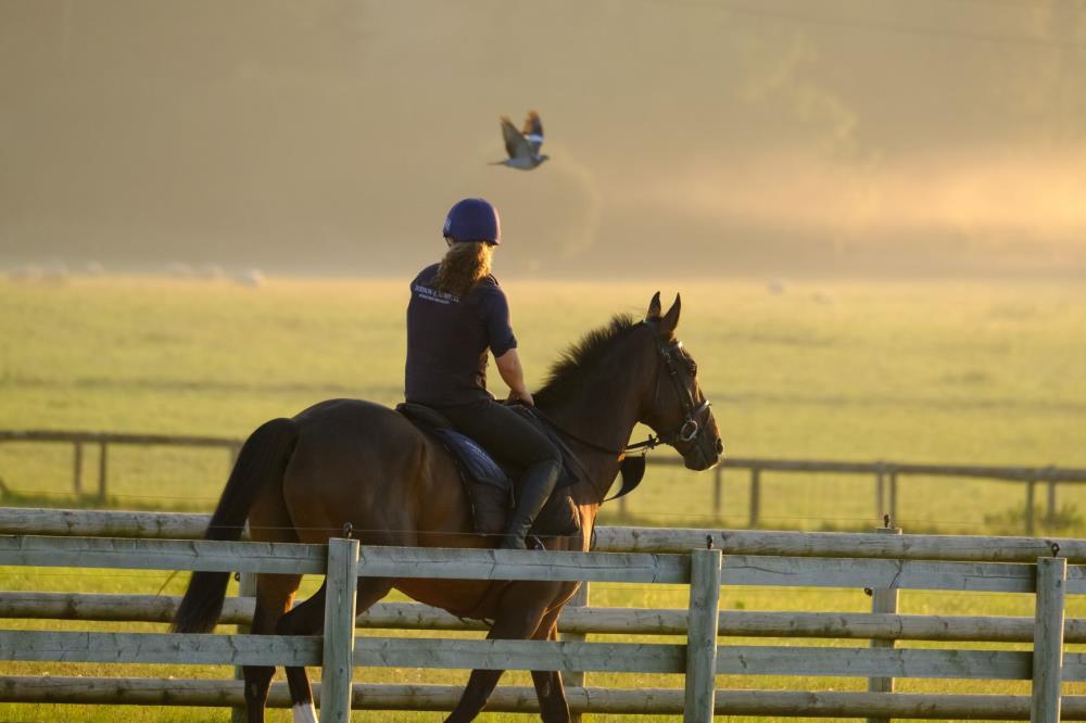 kimbaileyracing's tweet photo. A very special morning.. Stunning views

#feedtowin on #dodsonandhorrell https://t.co/HRFmNU7eB7