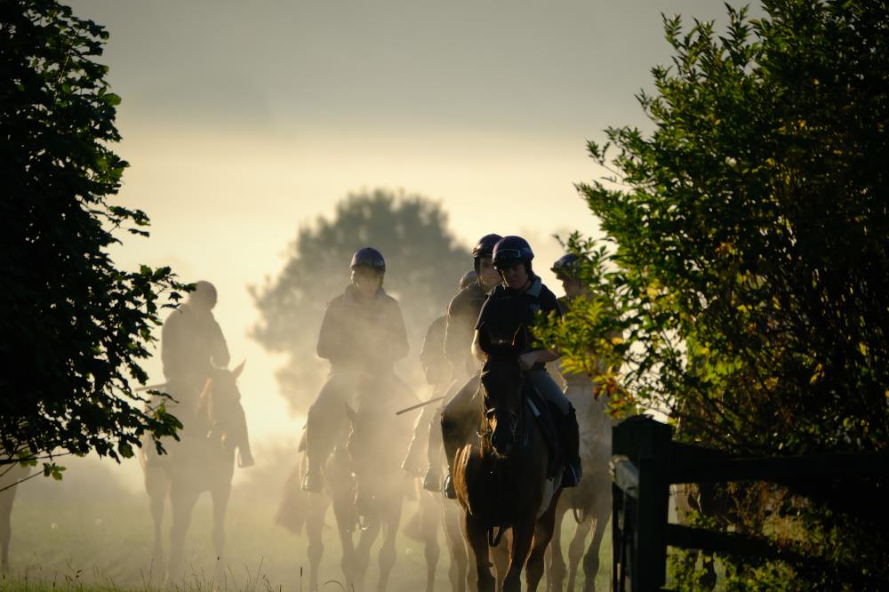 kimbaileyracing's tweet photo. A very special morning.. Stunning views

#feedtowin on #dodsonandhorrell https://t.co/HRFmNU7eB7