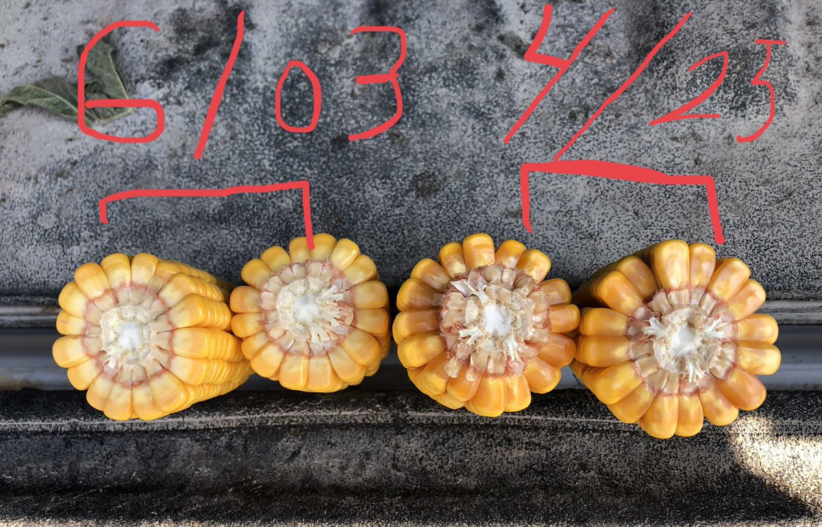 Shawn Jones tweet media