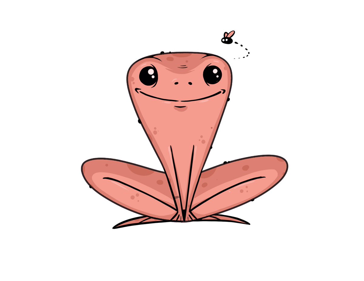 stv_armstrong's tweet photo. More of the @DrawfeeShow random shape challenge. Shape number 3. #drawfee #randomshapechallenge #frog https://t.co/NWm5fLxuSs