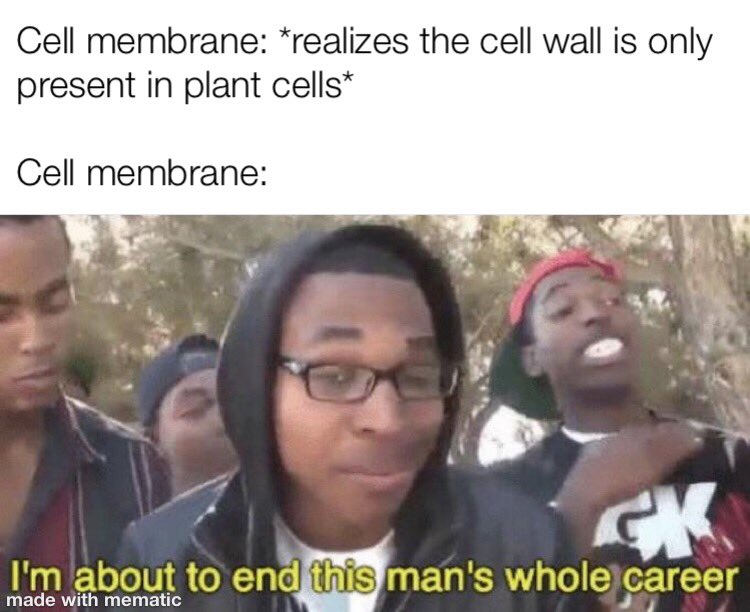 plasmembrane300's tweet photo. https://t.co/IN86aYd0Ti