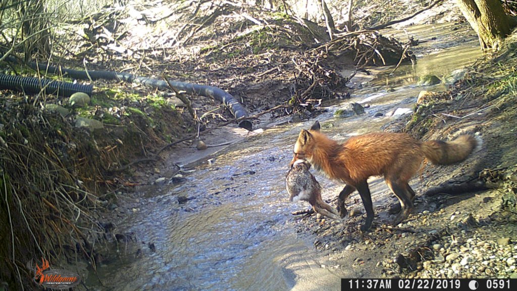 Wildgame Innovations tweet media