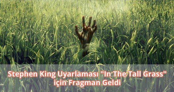 Stephen King Uyarlaması "In The Tall Grass" için Fragman Geldi
Bilgi ve Video: sinema.gen.tr/2019/09/stephe…

#StephenKing #InTheTallGrass #Netflix #sinema #cinema #movie #film #sinemahaberleri #filmhaberleri #yabancıfilm #2019filmleri