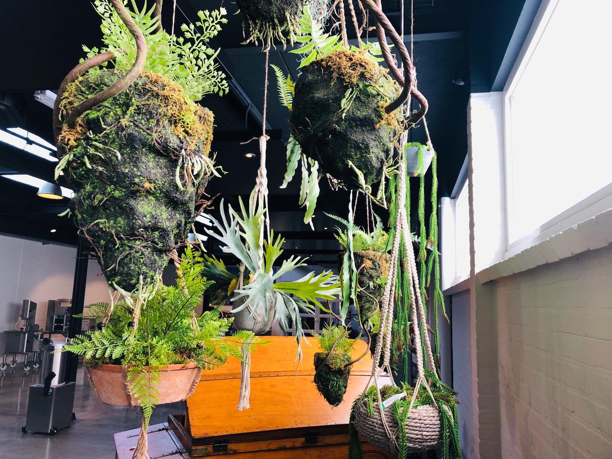 vanUhmbv's tweet photo. Een mooie en kleurrijke renovatie van onze showroom! 🌺🌴

Benieuwd hoe dit in het echt eruit ziet? Kom gerust langs in onze prachtige showroom!

#showroom #kleurrijk #Flowers https://t.co/BcnGGQgUll