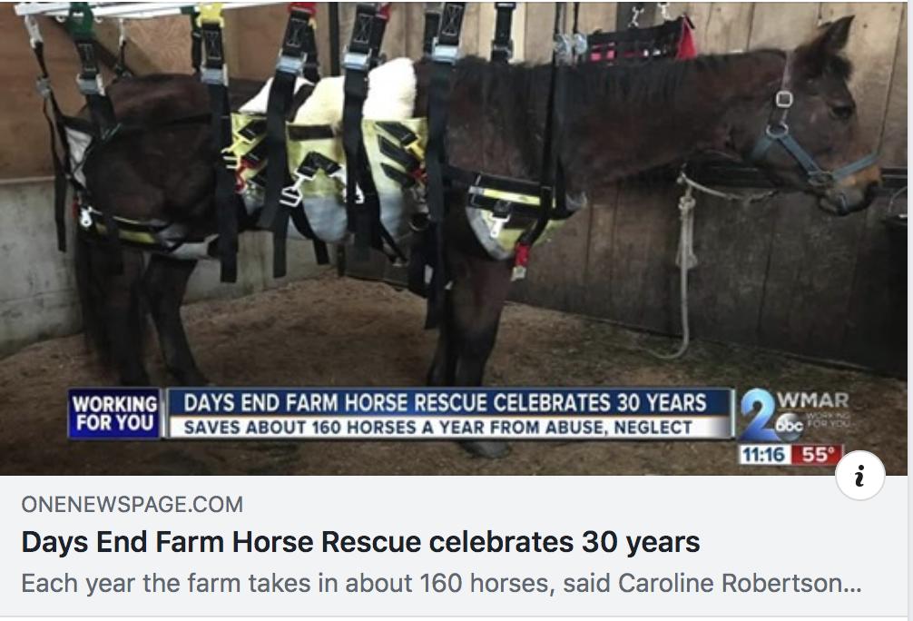 jumpmediallc's tweet photo. Take a look inside the incredible work of Days End Farm Horse Rescue (@DEFHR) thanks to the team at @WMAR2News! ➡️https://t.co/ZHQAdzyZ7Z https://t.co/57maNGyMOh