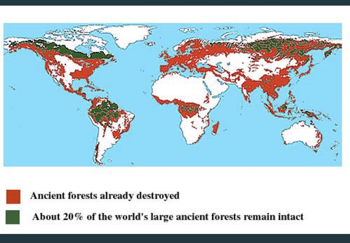 Key terms:Environmental Justice: same air and water for everybody regardless of race, class etc. Sustainable: something made to lastGreenwashing: companies using words like organic/all natural when its not Climate change: human influenced change in global weather patterns