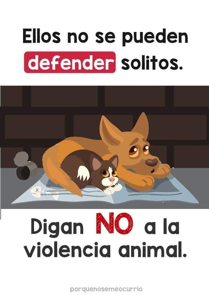 EPA_Chile's tweet image. ¡No al maltrato animal! #Animales #CompañerosdeVida #EPAChile