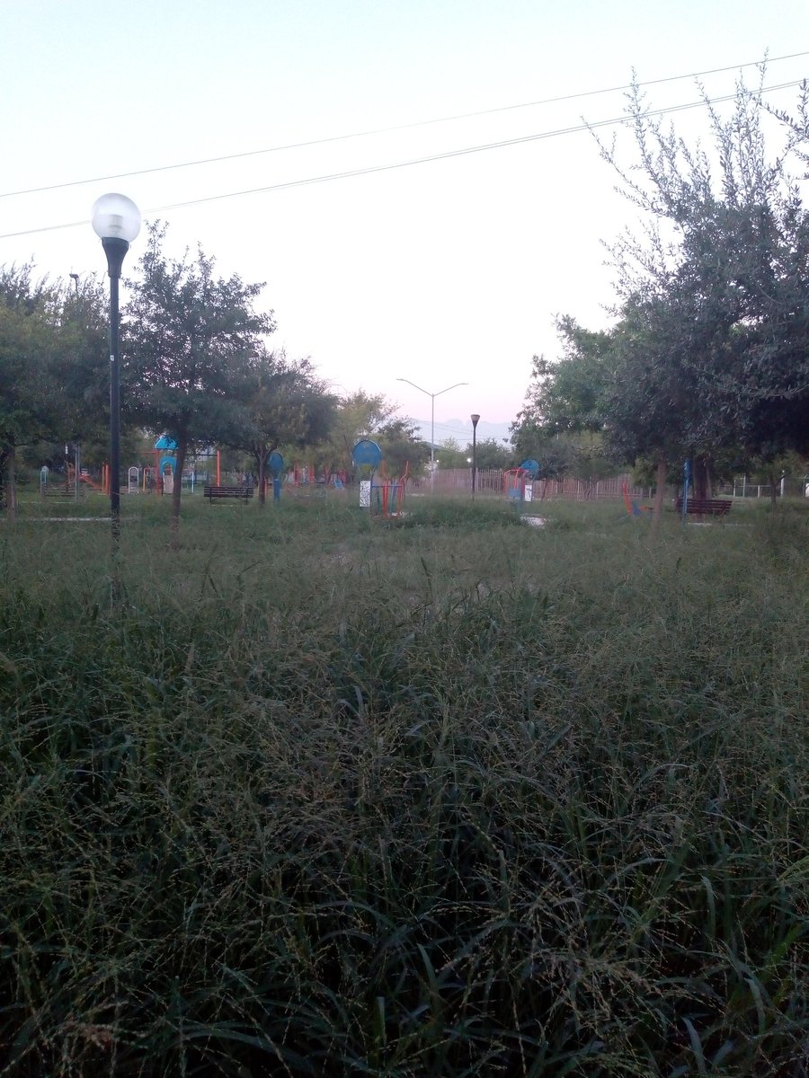 Urge que se corte la hierba en el parque que se ubica en las calles Jesús Solís y Jorge L. Conway col. Nogalera 2° sector <a href="/info7mty/">INFO7MTY</a>  <a href="/JulioCesar_Cano/">Julio César Cano</a> <a href="/SoyJoseArmandoG/">JOSE ARMANDO GZZ</a> <a href="/Sadrach_PlanB/">Sadrach Santos</a> @kikegarciaadn <a href="/alemedinacasas/">Alejandra Medina</a>