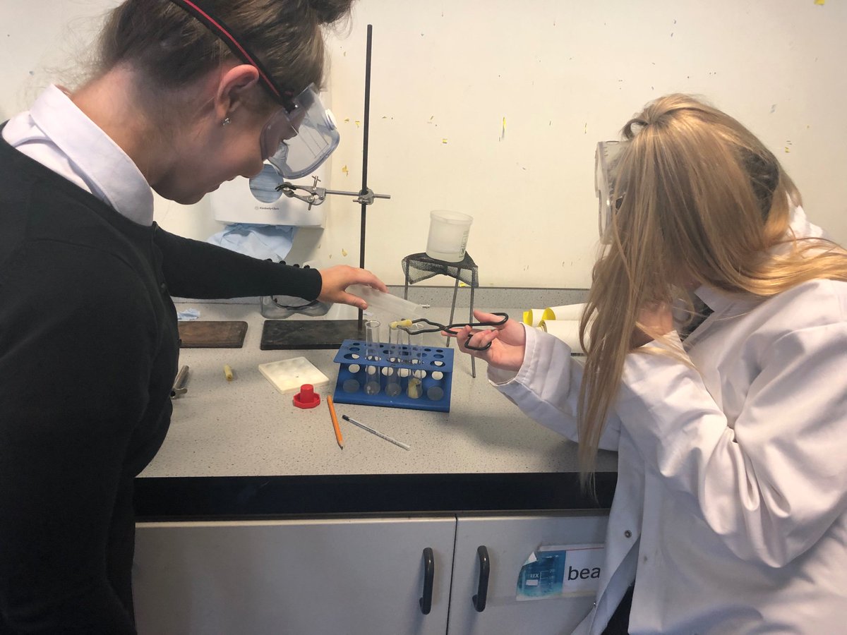 xfionax7_fiona's tweet photo. Olivia and Katie showing Mr. Murphy osmosis in action π #nat5bio #numeracyupnext https://t.co/mCrRoMknCL
