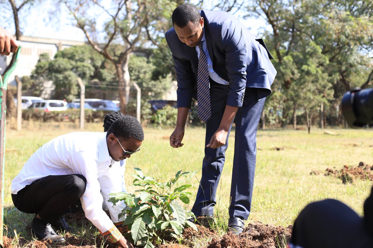 KenyaUtalii's tweet photo. The Principal Secretary, State Department of Tourism @Min_TourismKE  , Mr. Joe Okudo, CBS, plants trees together with the #KenyaUtalii Governing Council, Principal &amp; CEO, Management, Stakeholders, Staff &amp; Students during the institution’s 44th #UtaliiGraduation @JoeOkudo 1/5 https://t.co/r8mfsZ5xKu