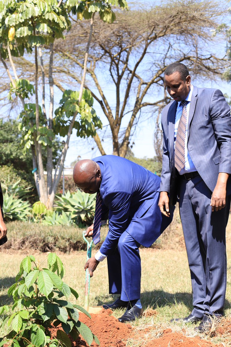 KenyaUtalii's tweet photo. The Principal Secretary, State Department of Tourism @Min_TourismKE  , Mr. Joe Okudo, CBS, plants trees together with the #KenyaUtalii Governing Council, Principal &amp; CEO, Management, Stakeholders, Staff &amp; Students during the institution’s 44th #UtaliiGraduation @JoeOkudo 1/5 https://t.co/r8mfsZ5xKu
