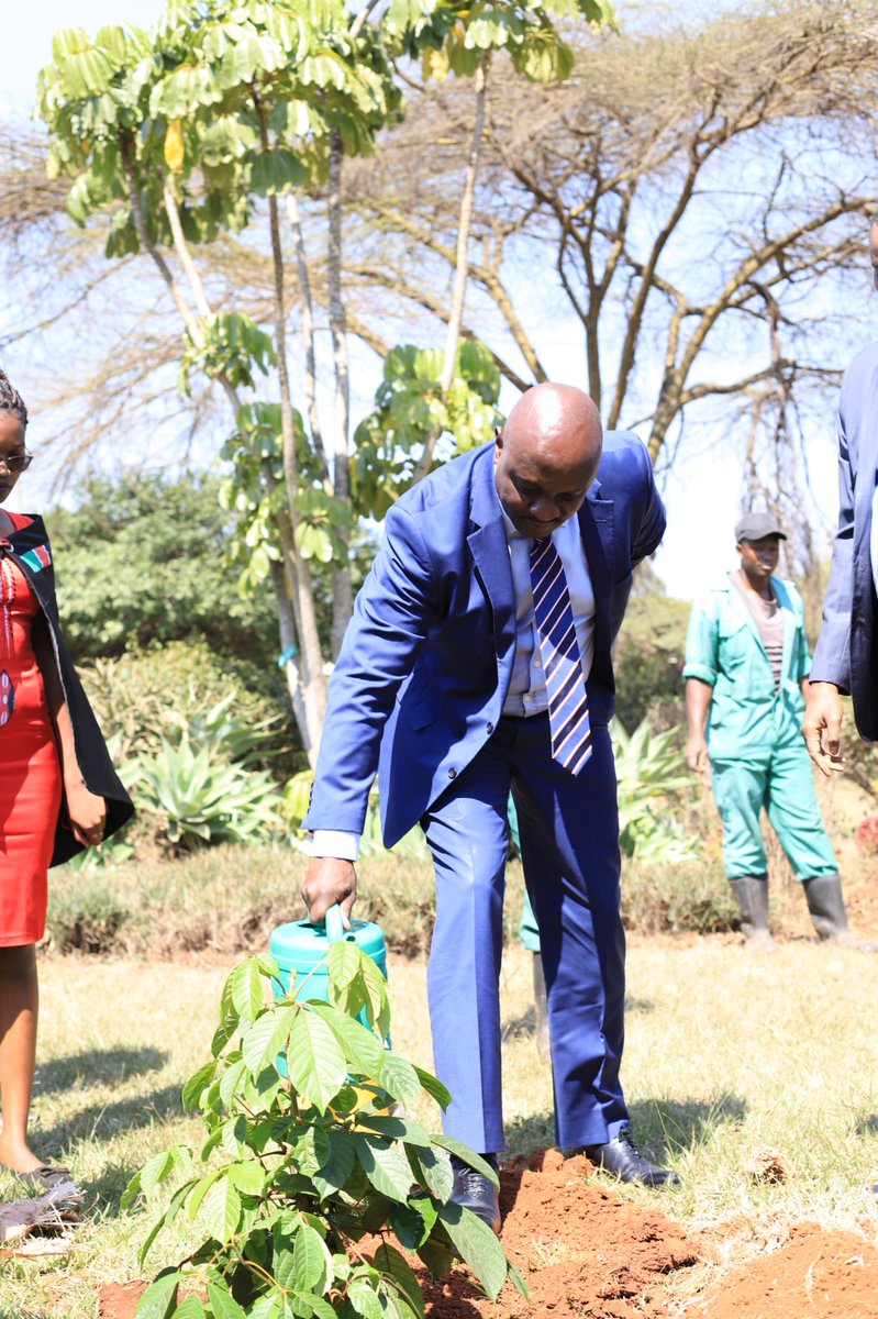 KenyaUtalii's tweet photo. The Principal Secretary, State Department of Tourism @Min_TourismKE  , Mr. Joe Okudo, CBS, plants trees together with the #KenyaUtalii Governing Council, Principal &amp; CEO, Management, Stakeholders, Staff &amp; Students during the institution’s 44th #UtaliiGraduation @JoeOkudo 1/5 https://t.co/r8mfsZ5xKu