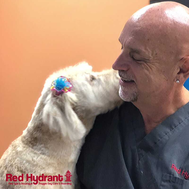 Red_Hydrant_Spa's tweet photo. "The bond with a true dog is as lasting as the ties of this earth will ever be." - Konrad Lorenz⁣
⁣
Martin and Abby have such a strong bond she always gives him kisses after every groom!⁣

#dogsoftwitter #fridayfeeling https://t.co/ncMBKkooSS