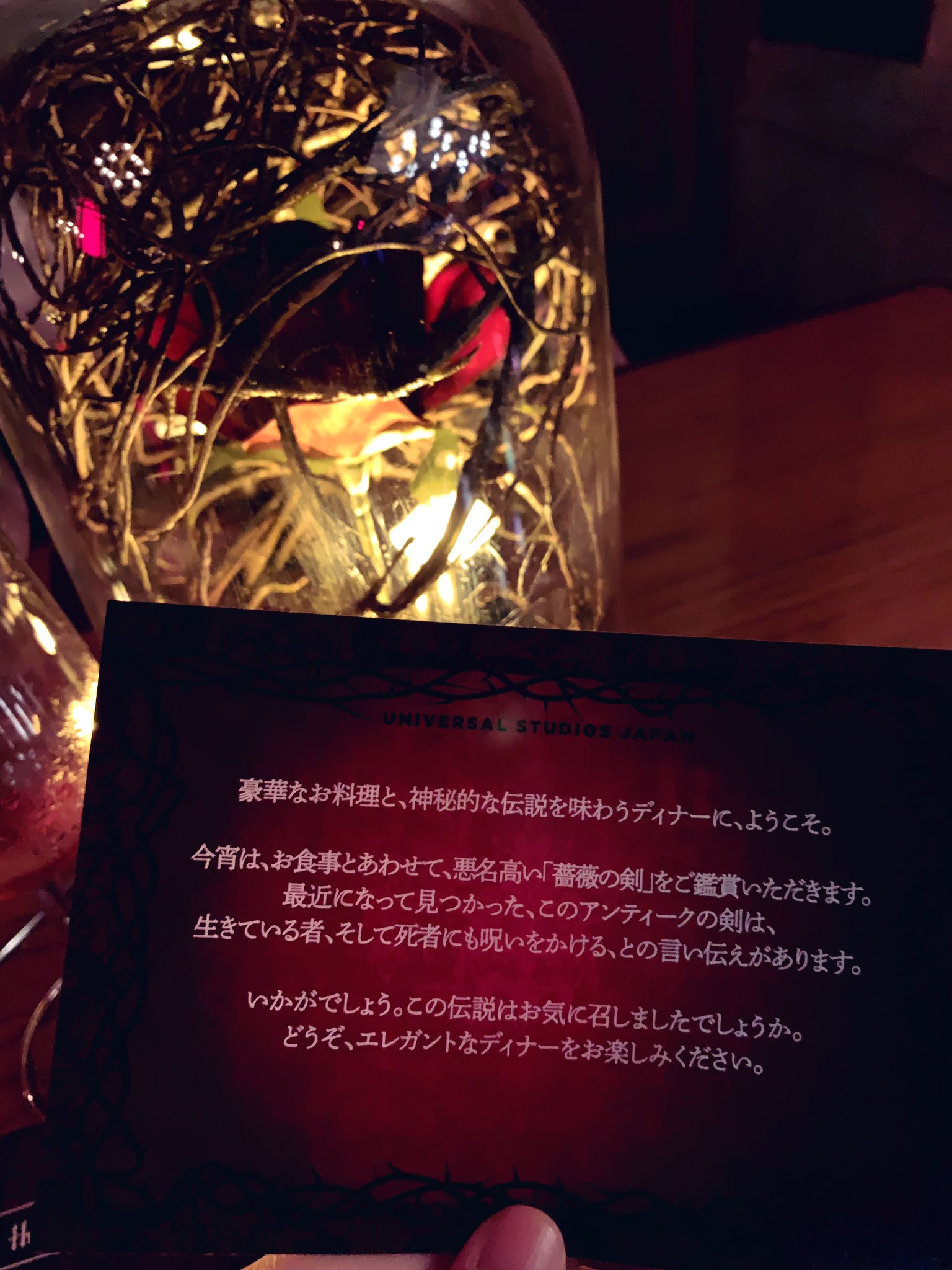 一般のキーマンおじさん 呪われたバラ園のディナー最高だった