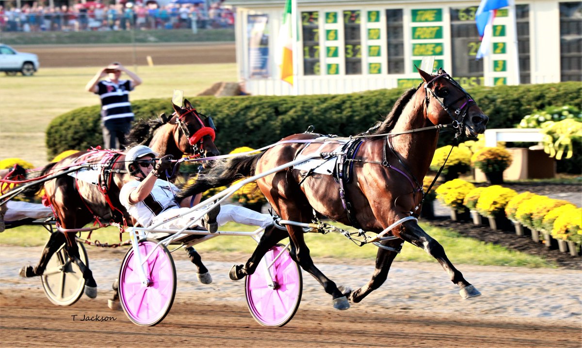 hoosiernations's tweet image. GoodMorning @LBJRadioNetwork @Chris_wponies @JoannKi32885615 @rebelsart @jtlburn @kimberlymoier @GlenPeckinpaugh @vnssa926  @KathleenBaitzel @joe_norte @elliotgordon2 @BradA53472906 @SadandSulk @USHWACanada @OttbSonnyWoods @KFrnch @HPEmilyG  #SouthwindOzzie #BrianSears #Jug19