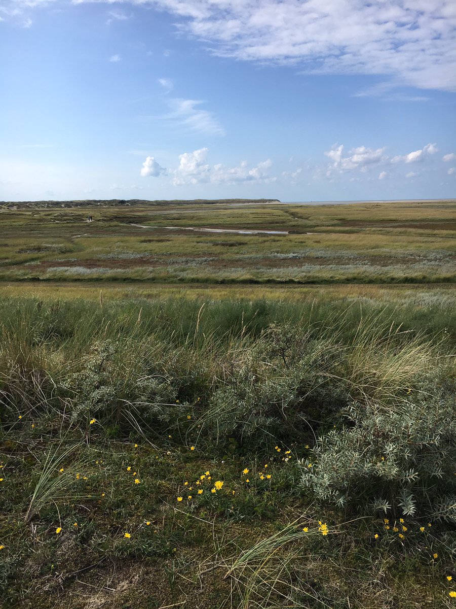 Nog zin om er even lekker tussenuit te gaan? Wij hebben nog een aantal leuke bungalows vrij.. 

check onze website demuy.nl, via search and book en dan lastminutes! #demuybungalows