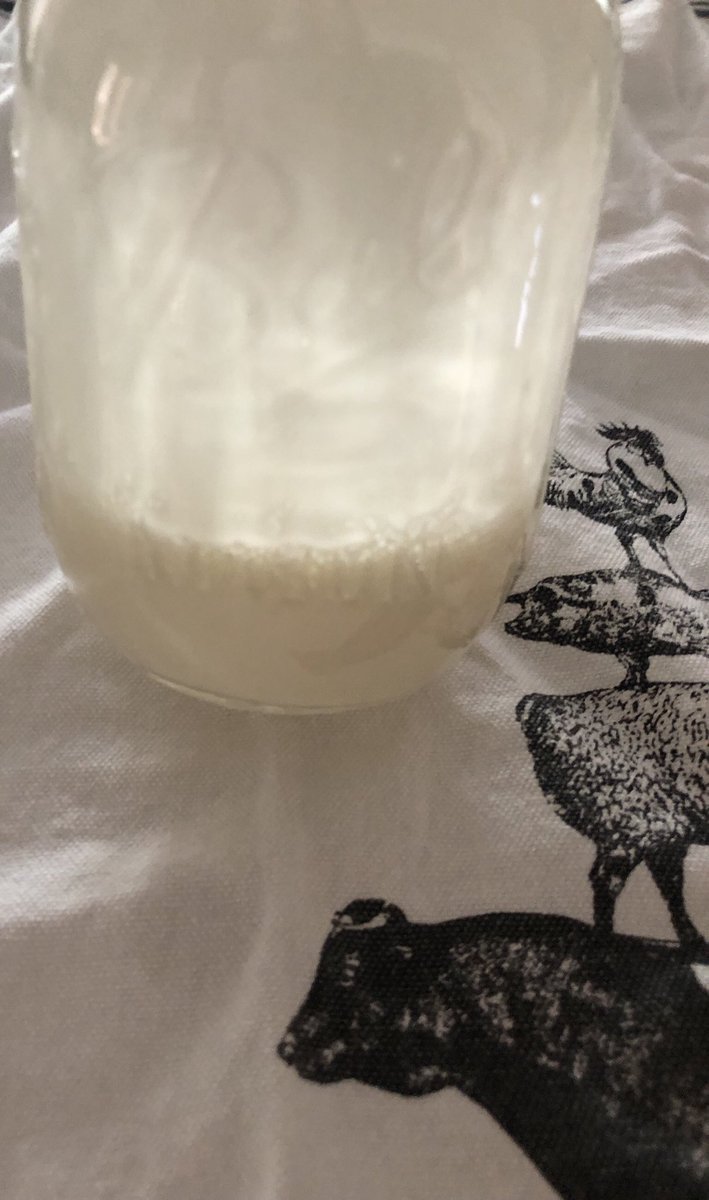 snfiorentino's tweet image. Ending #FarmAnimals  week with #HomemadeButter   #FoodsTheyGiveus 🐄