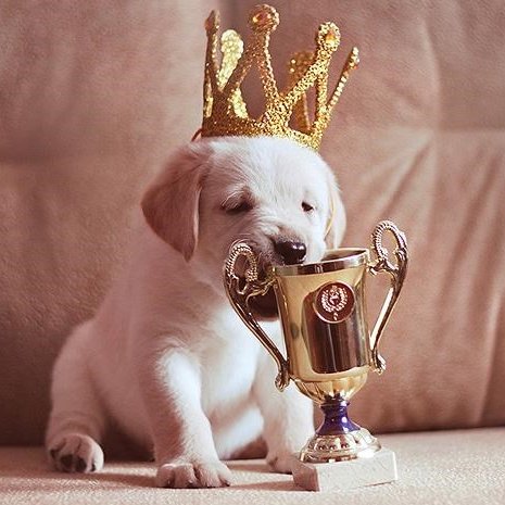 Club Athletico Paranaense ♦️ tweet media