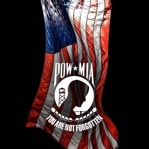 Today is #POWMIARecognitionDay,  we remember + honor those Americans who were prisoners of war and those who served and never returned home. #HonorThem #NeverForgotten 🇺🇸